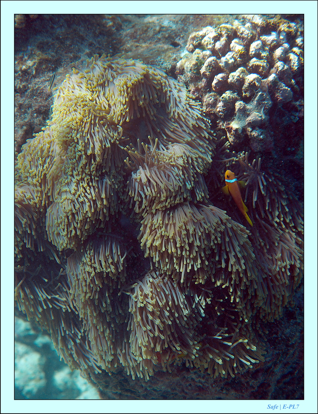 2023 - 07 - Sandies Bathala - 115